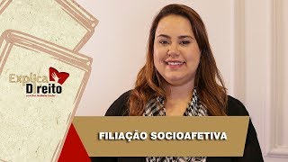 Explica Direito Filiação Socioafetiva  2019 [upl. by Cory]