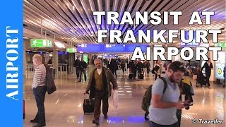 TRANSIT WALK AT FRANKFURT Airport FRA Terminal 1  Connection Flight Transfer Arriving amp Departing [upl. by Asecnarf]